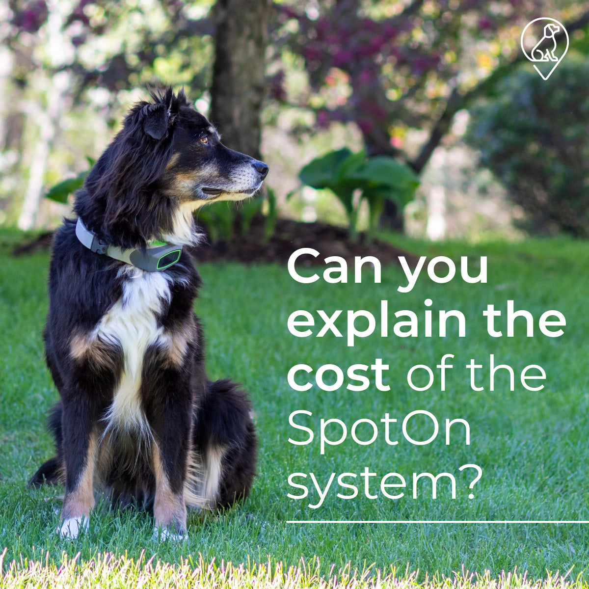 Can you explain the cost of the SpotOn system?