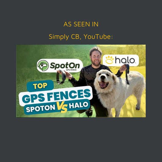 Thumbnail of YouTube review.