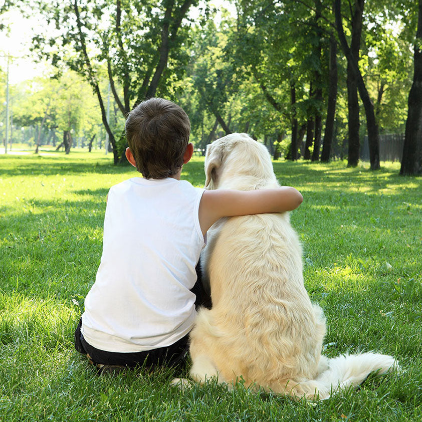 5 Benefits of Owning a Dog for the Whole Family