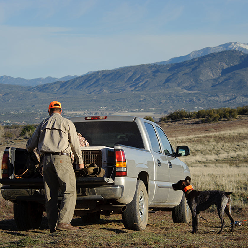 Deer Hunting with Dogs: 6 Ways to Ensure a Safe Hunt