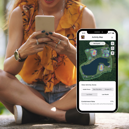 Unlocking the Power of Dog Activity Maps with SpotOn GPS Fence