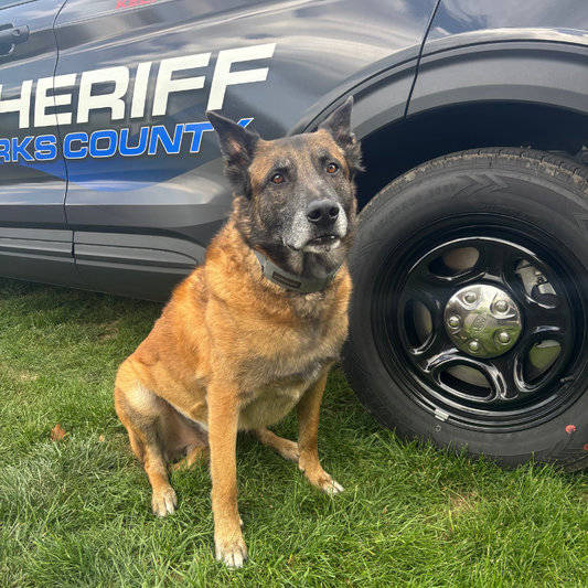 K9 police dog using SpotOn GPS Dog Fence.