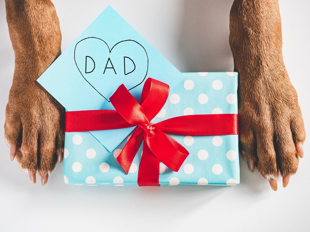 The 8 Best Dog Dad Gifts