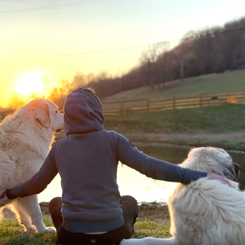 This farmer’s biggest challenge; containing her Livestock Guardian Dogs