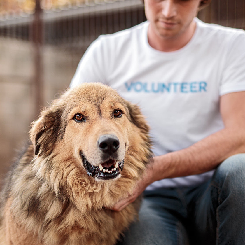 Animal shelter volunteer with dog