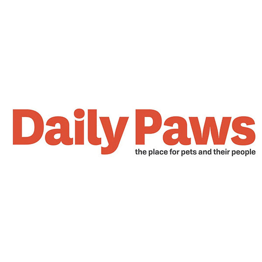 Daily Paws Ranks SpotOn "Best Wireless Dog Fence"