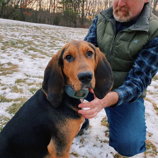 What's the best way to train my dog to SpotOn if he is already trained to an electric fence?
