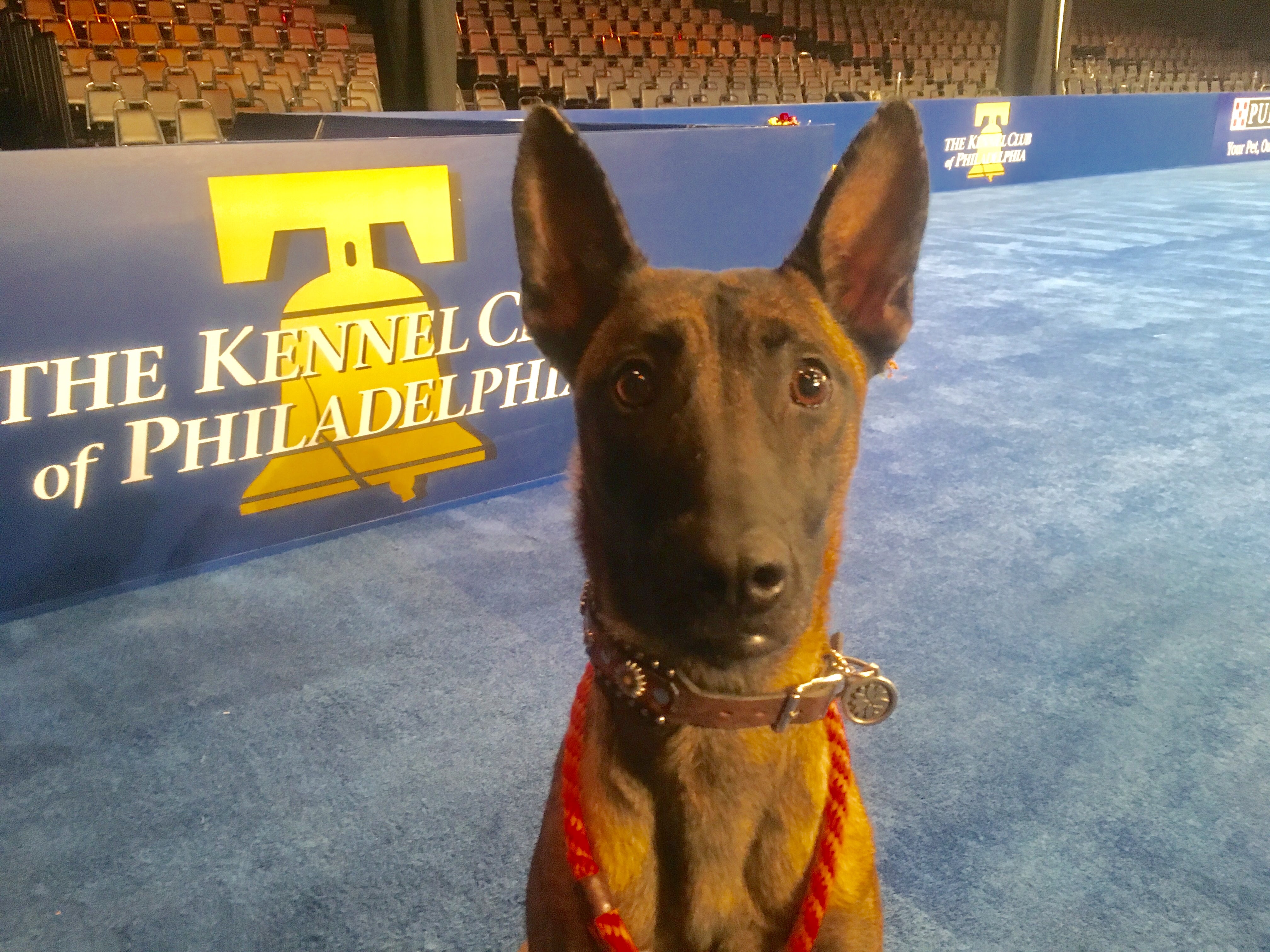 SpotOn Attends the 2018 National Dog Show