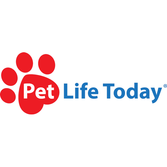 SpotOn Featured on Pet Life Today: The Best Wireless Dog Fences (2019 Reviews)