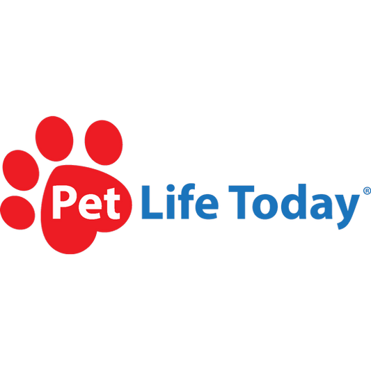 SpotOn Featured on Pet Life Today: The Best Wireless Dog Fences (2019 Reviews)