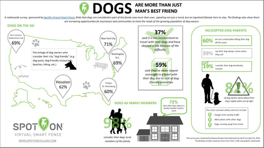 Nationwide Survey Reveals Dogs are More than "Man’s Best Friend"
