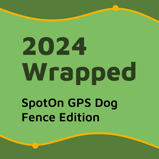 2024 Wrapped: SpotOn GPS Dog Fence Edition