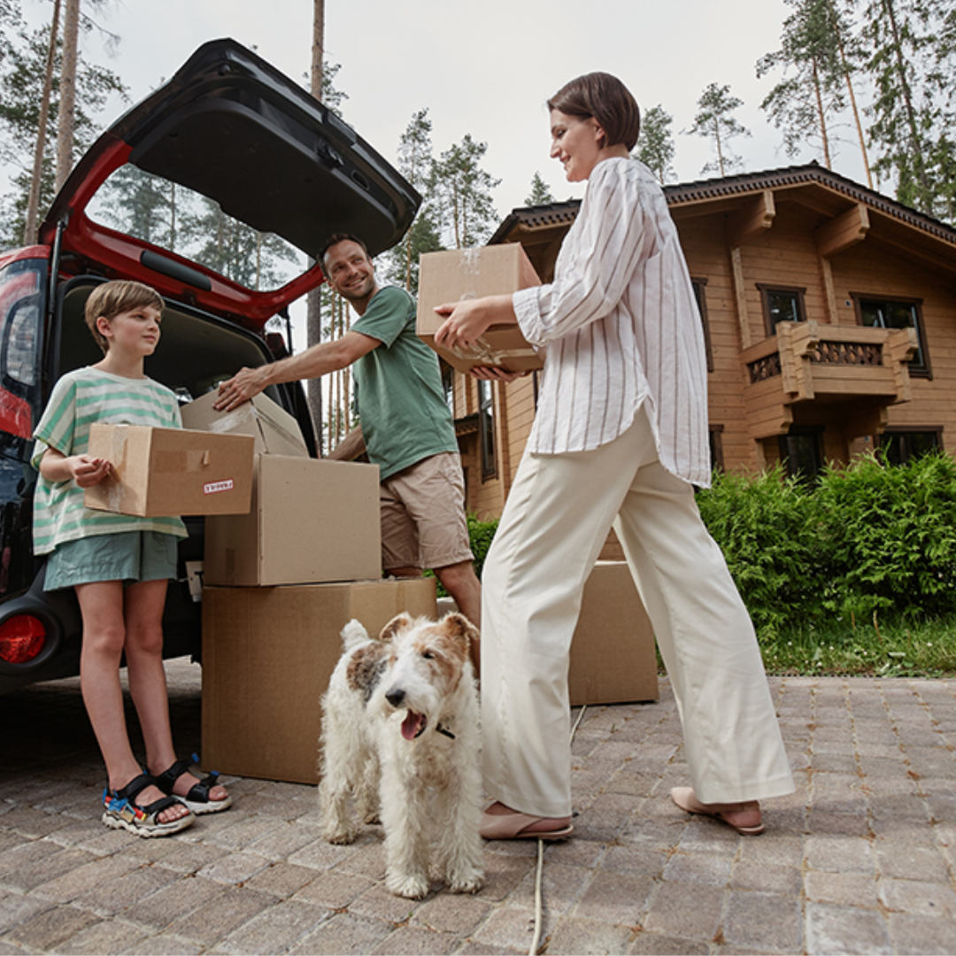 How to help a dog adjust to a new home. 8 tips for moving with a dog.