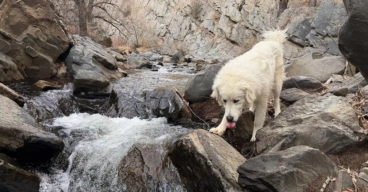 When the Land Can’t Be Fenced