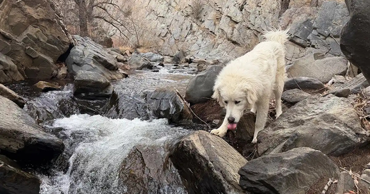 When the Land Can’t Be Fenced