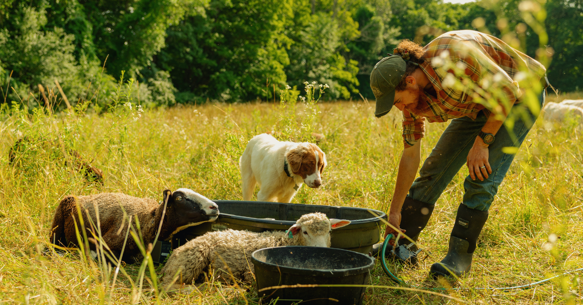 How Camp Glen Brook Uses SpotOn to Keep a Livestock Guardian Dog With the Flock