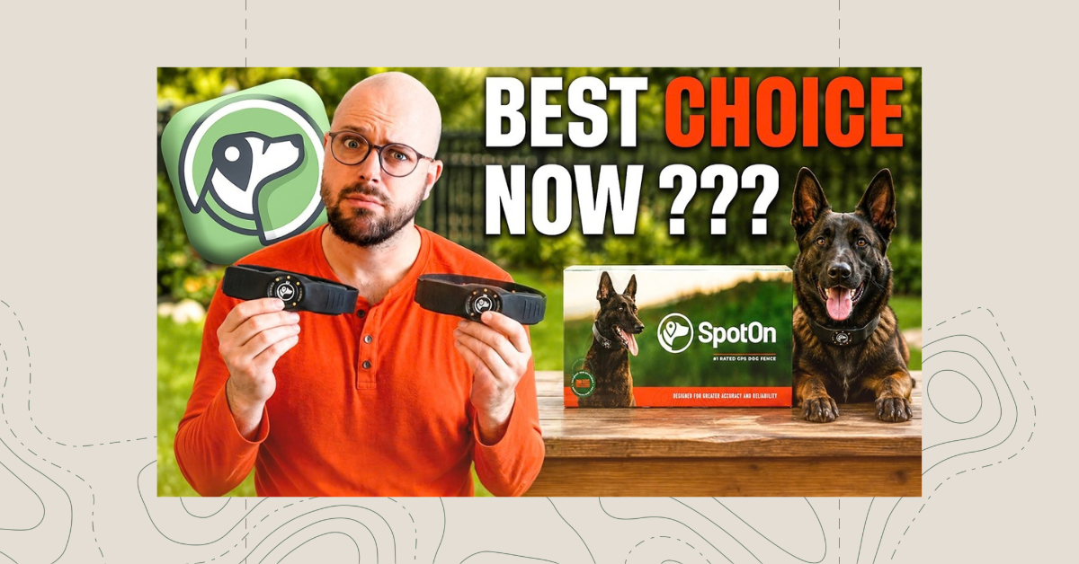SpotOn Nova GPS Fence Review: How Real-World Testing Won Over Cozy Crates
