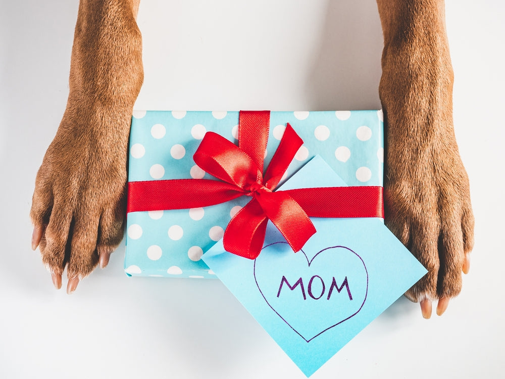 The 9 Best Dog Mom Gifts