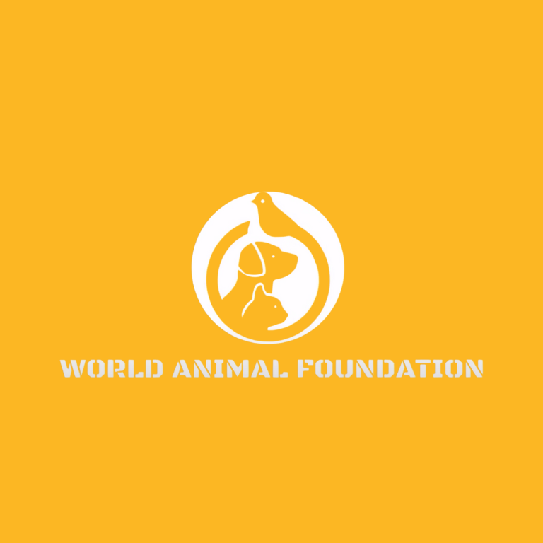 SpotOn Proven as Most Accurate Smart Collar by World Animal Foundation