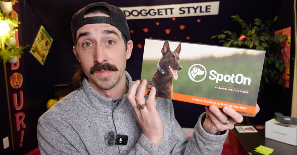 Pro Dog Trainer Review: Is the New SpotOn Nova Edition Actually Better?