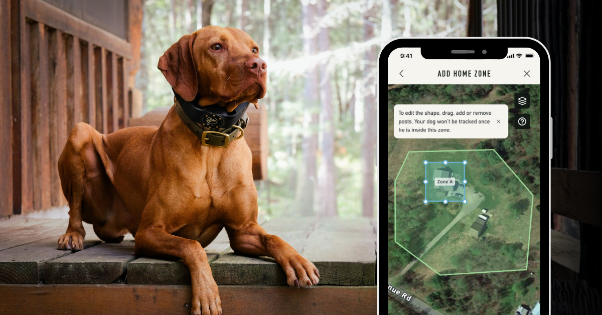 Customize Your GPS Dog Fence with Keep Out Zones & Home Zones