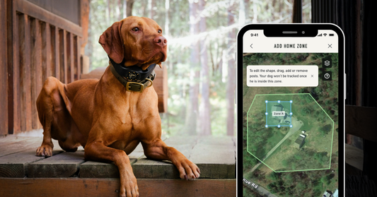 Customize Your GPS Dog Fence with Keep Out Zones & Home Zones