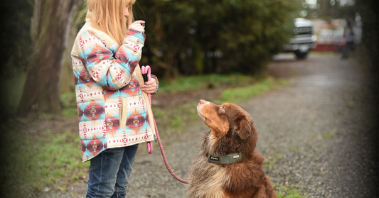 Dog Love Language Quiz