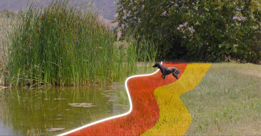 How SpotOn GPS Dog Fence Boundaries Work