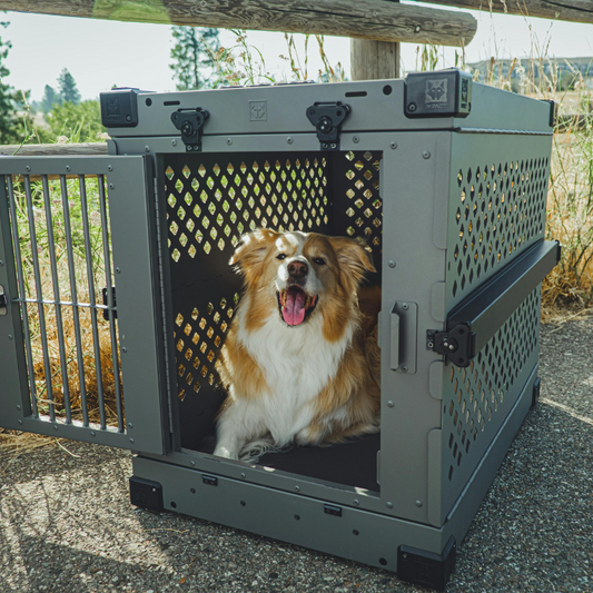 How to Build the Ultimate Pet Go-Bag (Without Forgetting the Essentials)