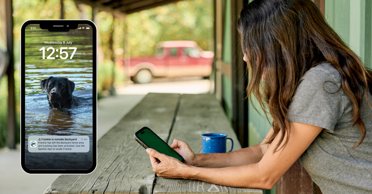 Why you don’t need cellular with the SpotOn System