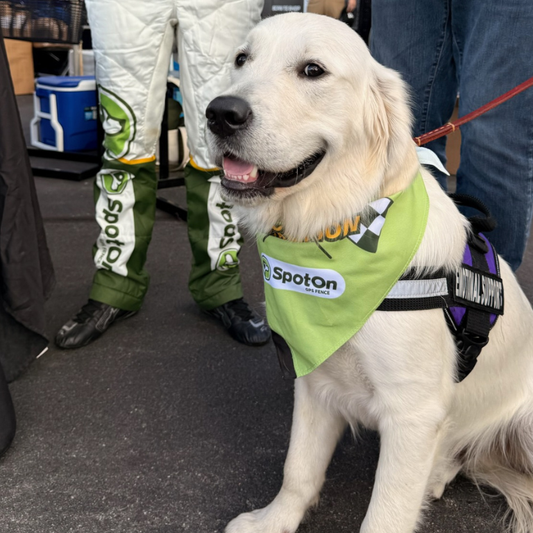 SpotOn GPS Fence Honors Service: Samantha & Trooper’s Story