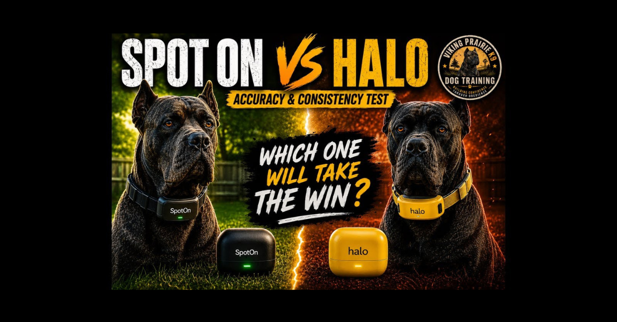 Independent Dog Trainer Compares SpotOn Nova vs. Halo 5