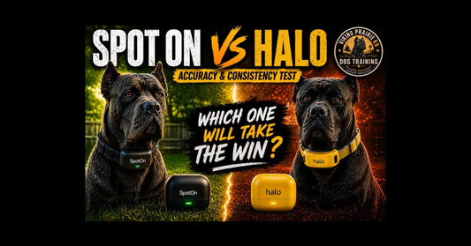 Independent Dog Trainer Compares SpotOn Nova vs. Halo 5
