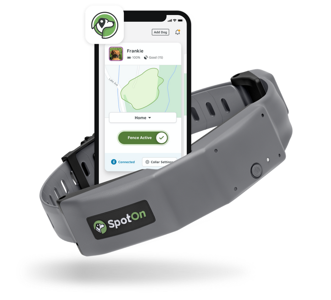 Gps pet fence best sale