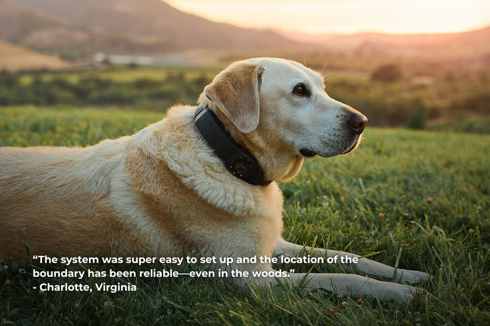 Flexible and Hassle Free