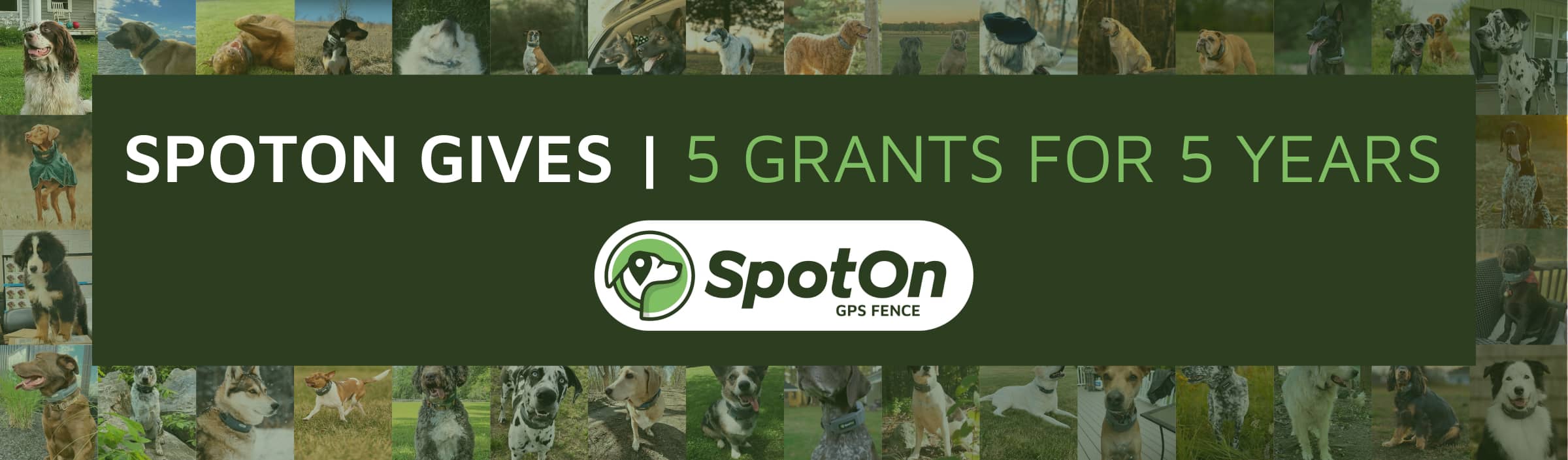 SpotOn Gives: Grants for 5 Years