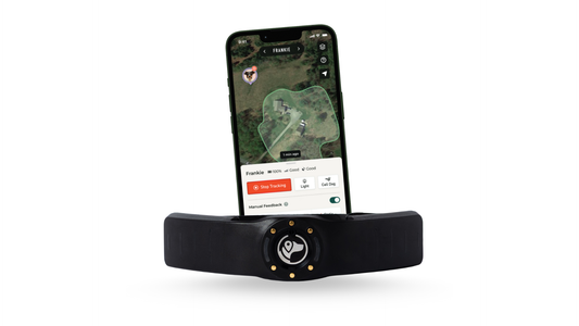 Smartphone displaying the SpotOn app next to a SpotOn collar.