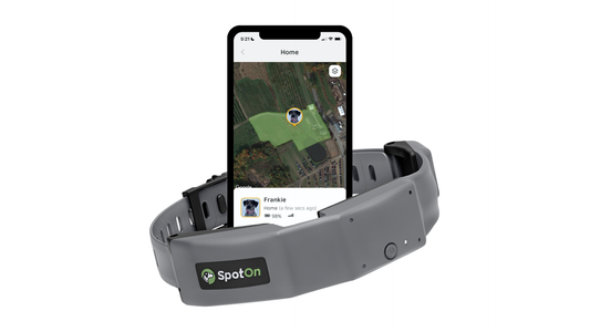 SpotOn GPS Omni Edition collar with smartphone displaying app on a white background