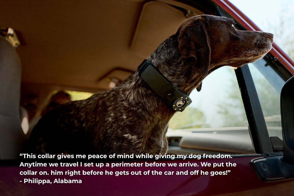 Fences at Home & Away