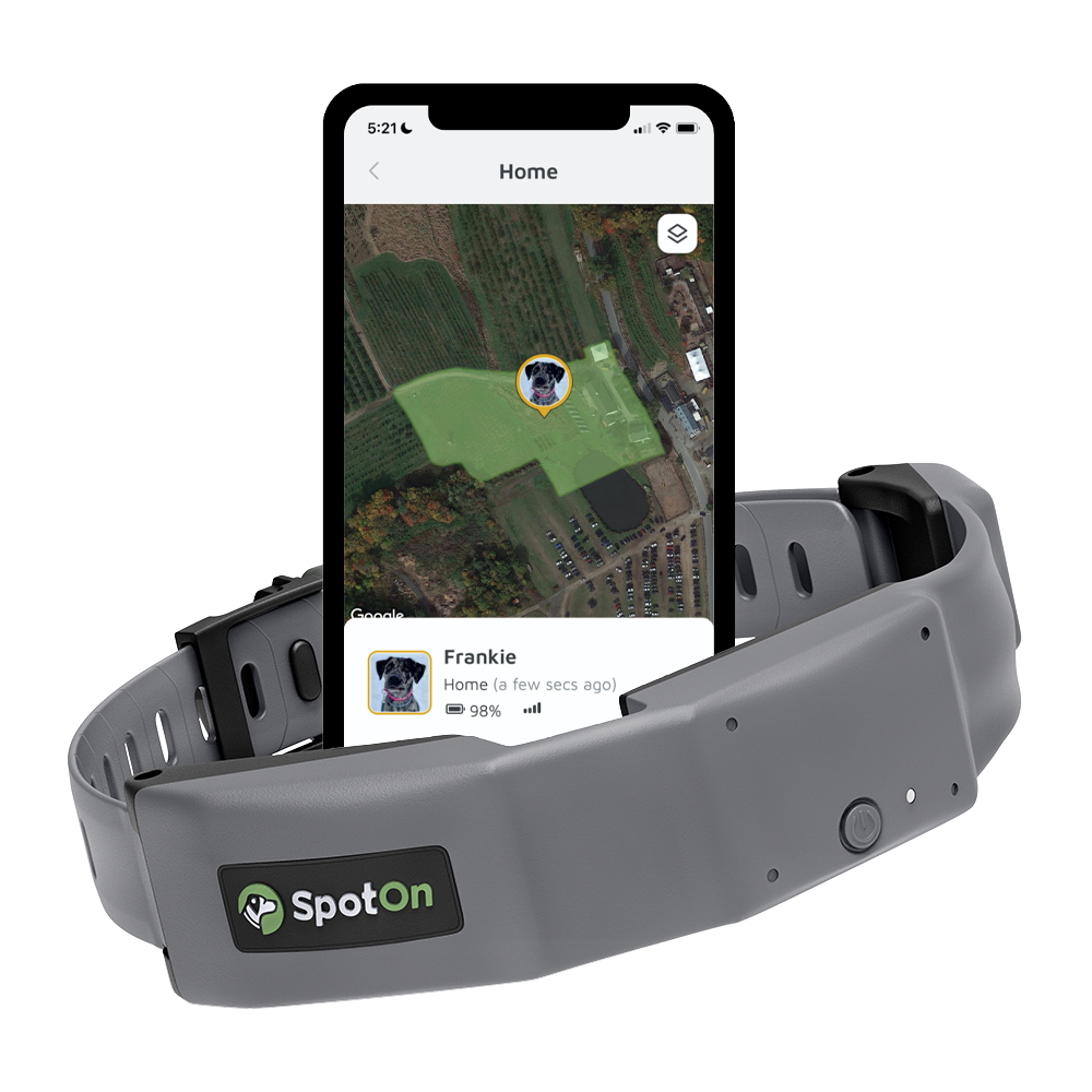geofence dog collar with SpotOn app